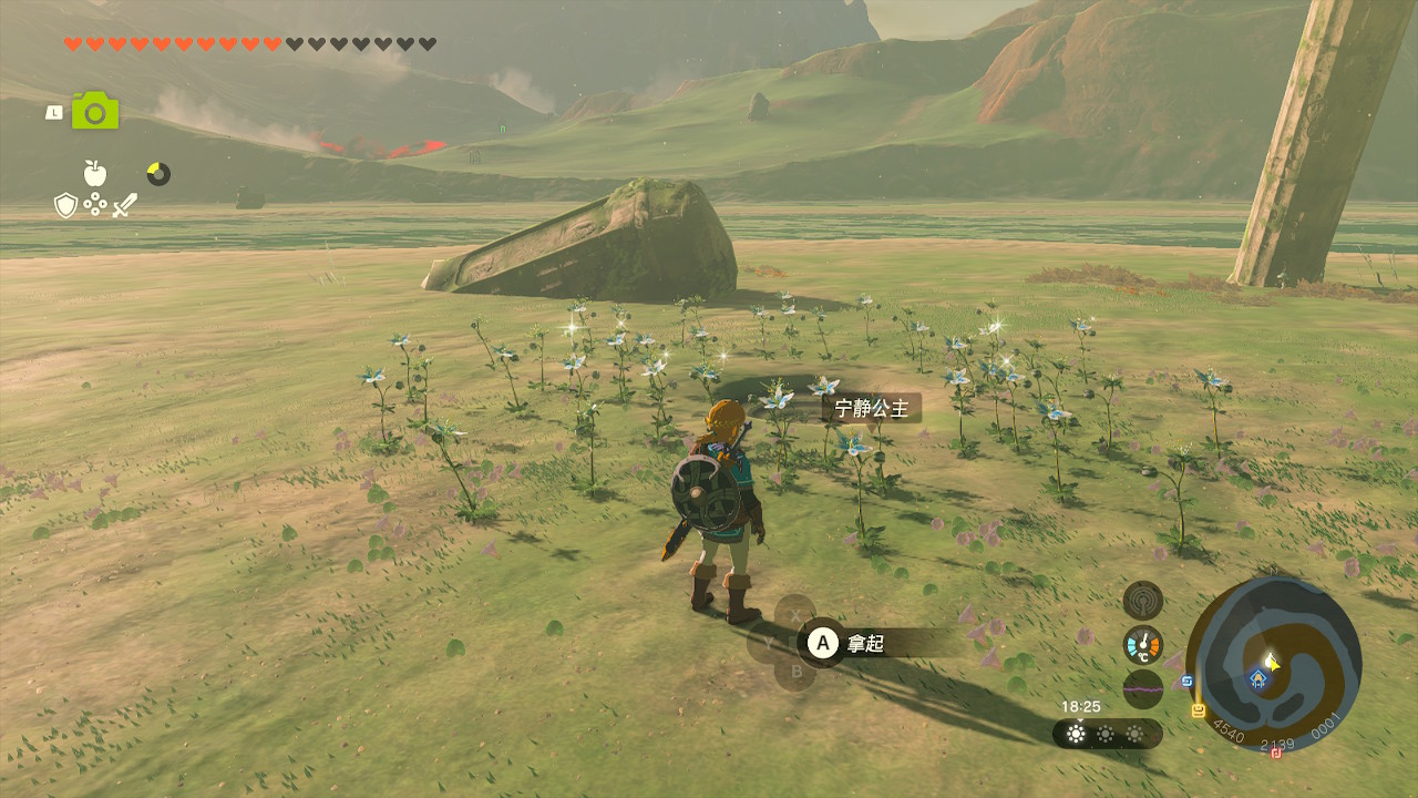 500 link01.jpg